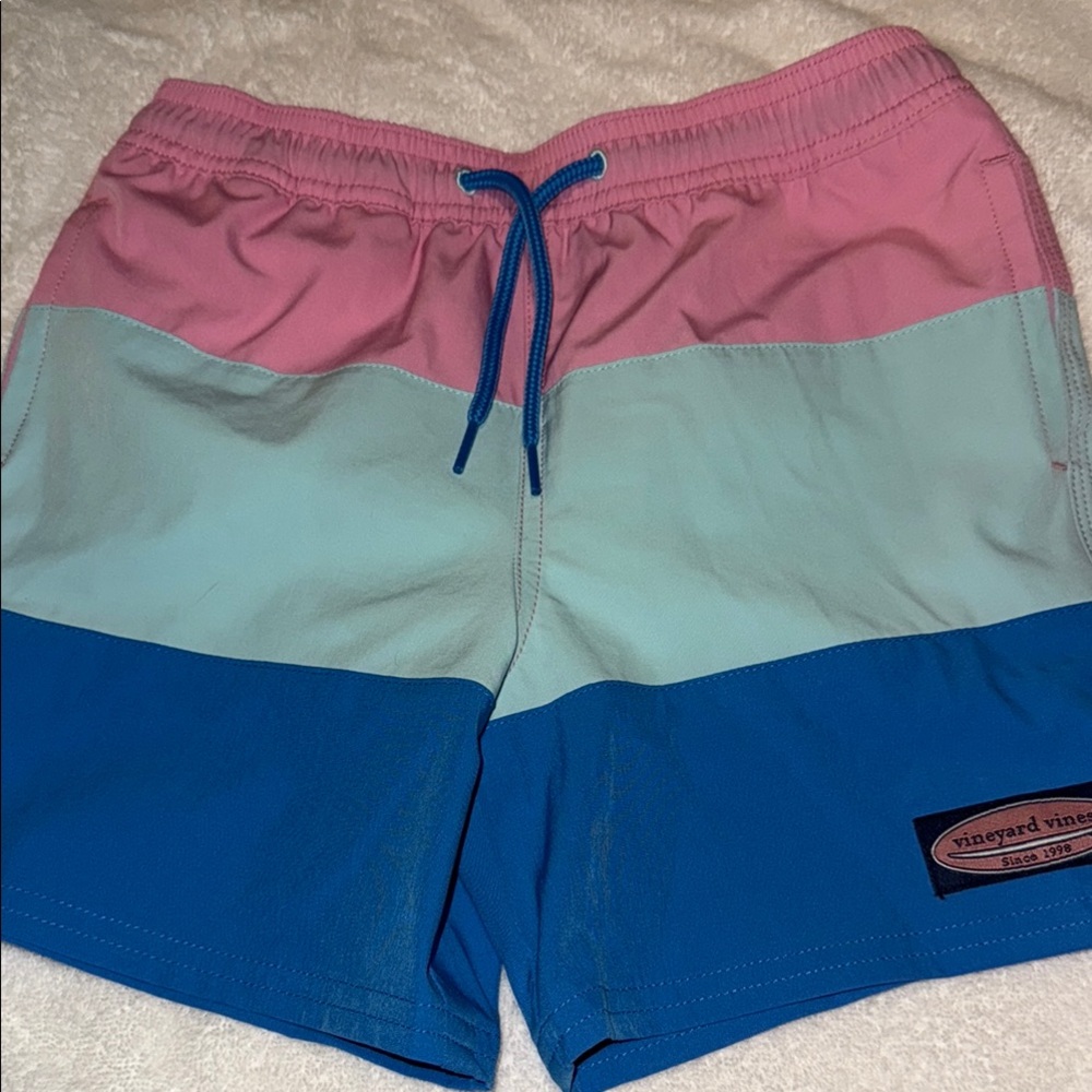 Boys Vineyard Vines Pink and Blue Swim Trunks. Chappy swim trucks
